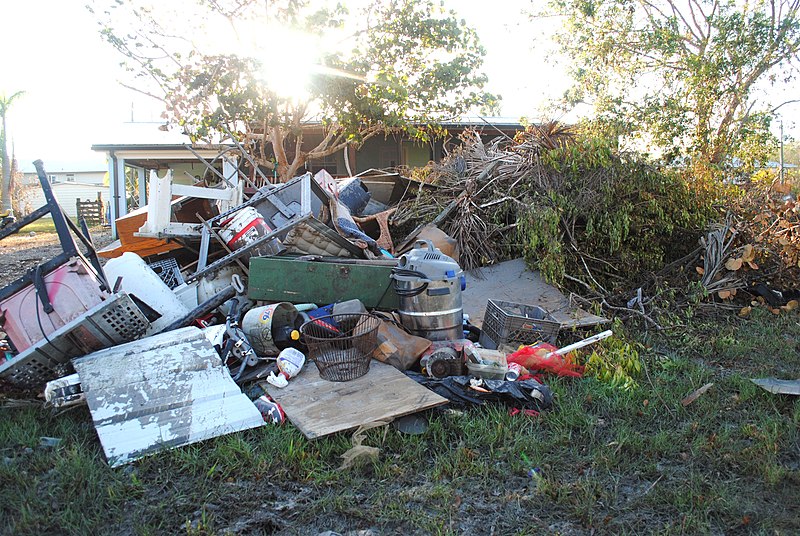 File:Debris (36884162550).jpg