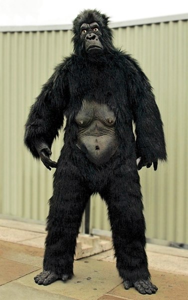 File:Gorilla suit 1.jpg