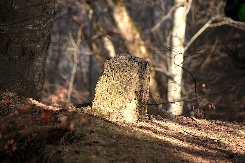 File:Grenzstein beim Hangender Stein.jpg