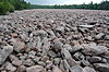 A large field of pink and grey boulders ringed by trees in the far distance. A few tiny human figures give a sense of the immense size of the boulder field.