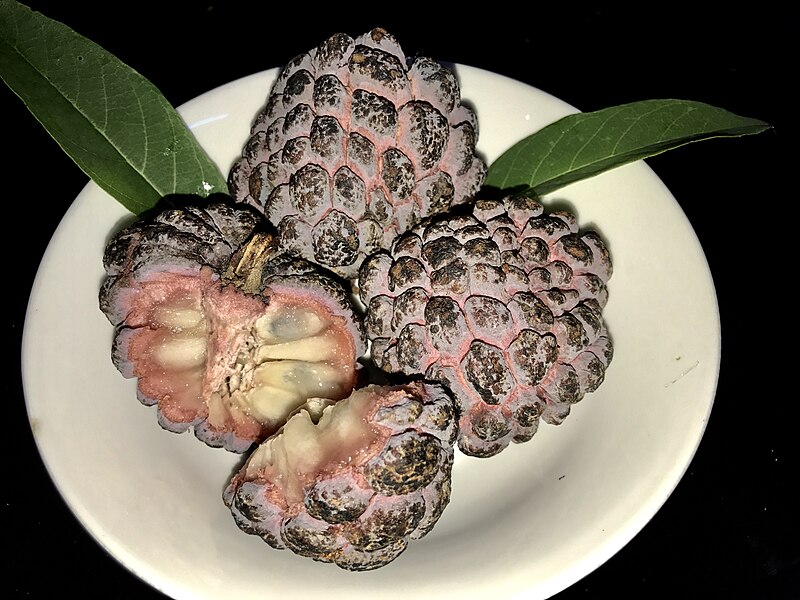 File:Red Sugar Apple.jpg