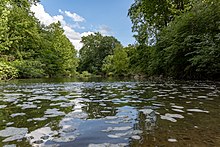 Blacklick Woods-Blacklick Creek 3.jpg