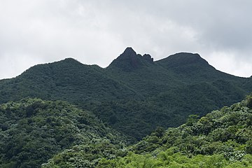 El Yunque view from Yokahu Tower.