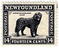 Newfoundland (dog) stamp