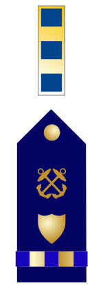 Файл:USCG CW2 insignia.svg