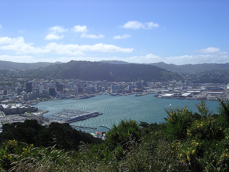 Archivo:Wellington.JPG