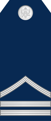 File:06-Montenegro Air Force-SSG.svg