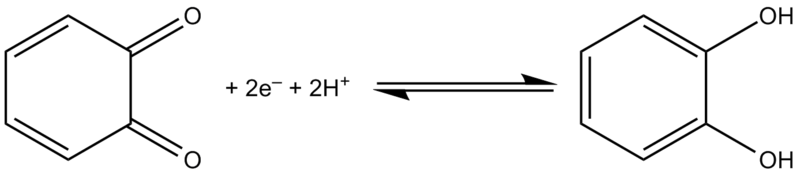 File:1,2-benzoquinone to catechol.png