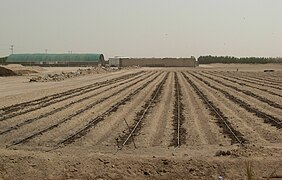 Land prepared for agriculture