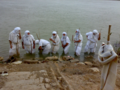 Seven priests begin the initiation by baptizing each other, and then the initiate.