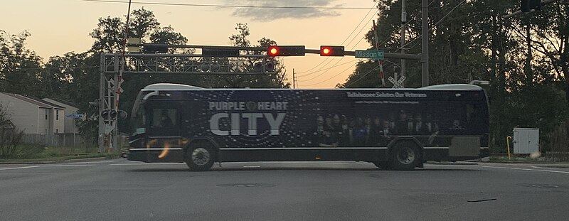 File:Purple heart city.jpg