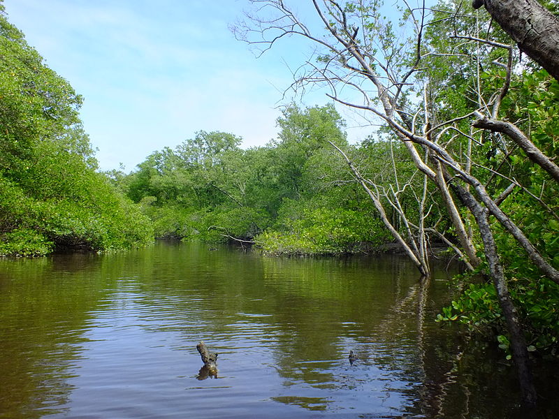 File:Rio Tavares.JPG