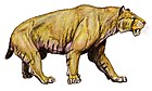 Smilodon populator