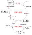 2019年1月12日 (六) 11:33版本的缩略图