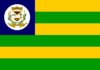 Flag of Dianópolis