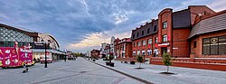 Malo-Tobolskaya street