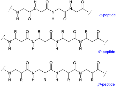 Beta peptides