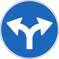 2.39 Must turn right or left