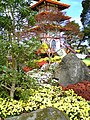 Takefu Chrysanthemum Doll Festival