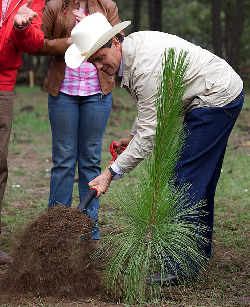 File:EPN. Día del Árbol.jpg