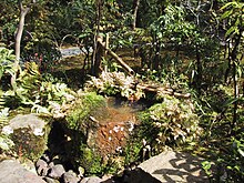 JapaneseGardenWaterBasin.jpg