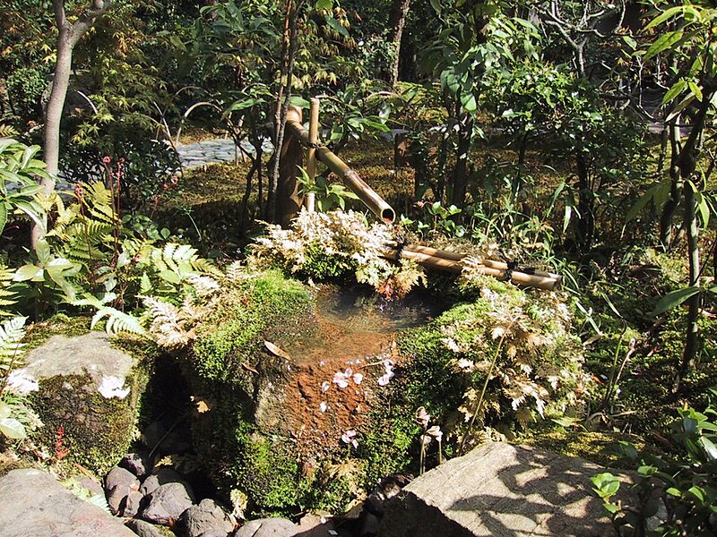 File:JapaneseGardenWaterBasin.jpg