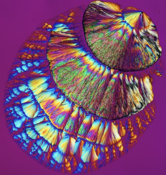 File:Amino acid birefringence.png