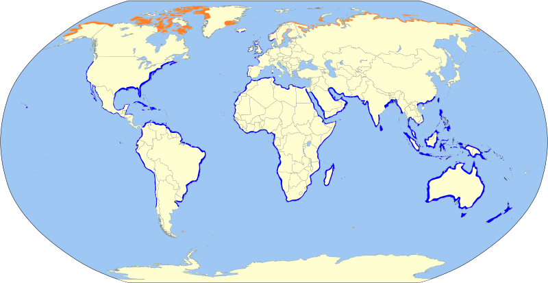 File:Arenaria interpres map.svg