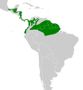 Distribución geográfica del hormiguero tirano.