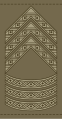 Seniorsergent (Royal Danish Army)[2]