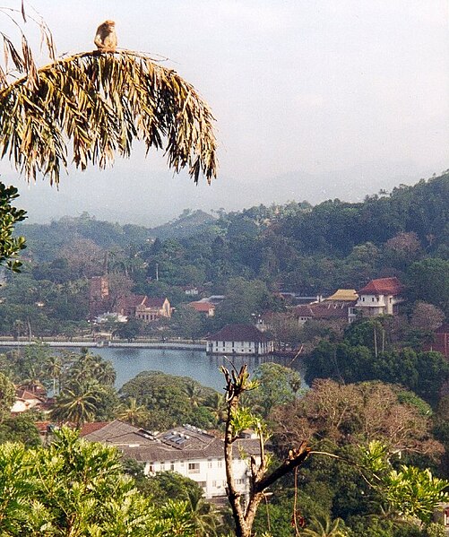 File:Kandy Lake, Sri Lanka.jpg