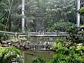 Internal view of the bird park