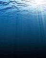 Under the sea, red and other light with longer wavelengths is absorbed, so white objects appear blue. The deeper you go, the darker the blue becomes. In the open sea, only about one percent of light penetrates to a depth of 200 metres. (See underwater and euphotic depth)