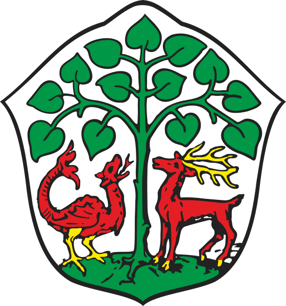 File:POL Braniewo COA old.svg