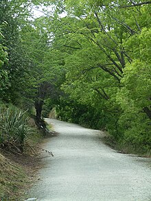 Queenstown-Bay-to-Frankton-Trail.jpg