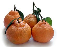 Four satsumas