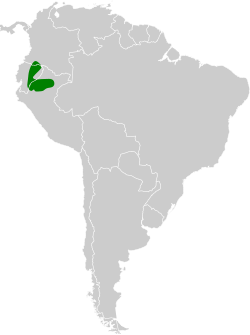 Distribución geográfica del hormiguero colicastaño norteño.