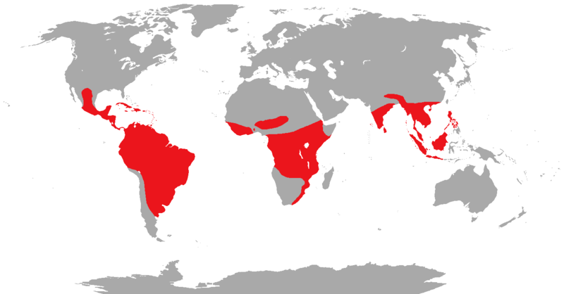 File:Trogon range.png