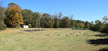 Mesocosm experiments at the University of Mississippi Field Station