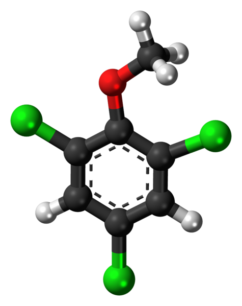 File:2,4,6-Trichloroanisole-3D-balls.png