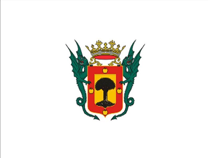 Archivo:Bandera de La Orotava.jpg