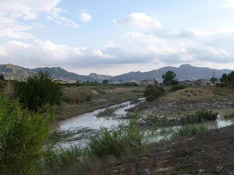 Archivo:Beniaján. Desembocadura Guadalentín.JPG