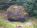 The Carlin stone near Craigends Farm, East Ayrshire, Scotland.