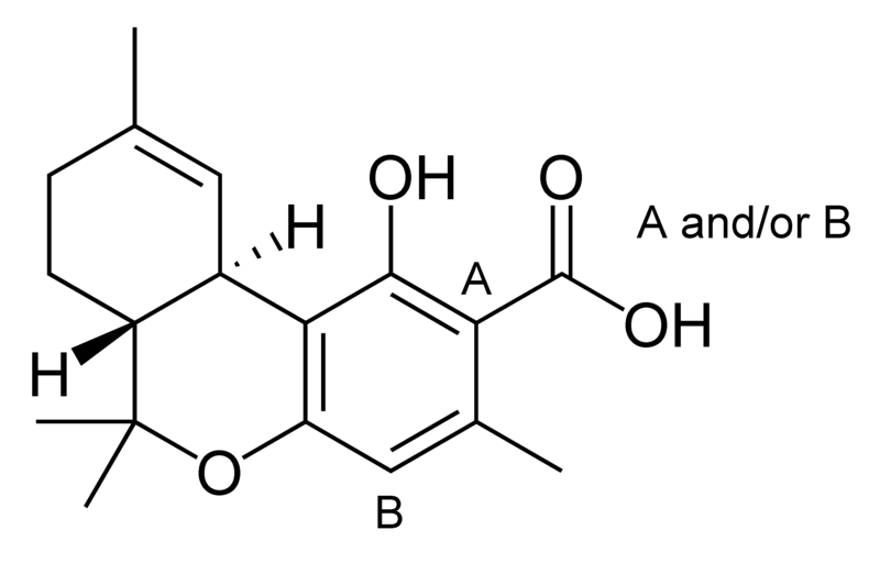 Archivo:Delta-9-tetrahydrocannabiorcolic acid.png