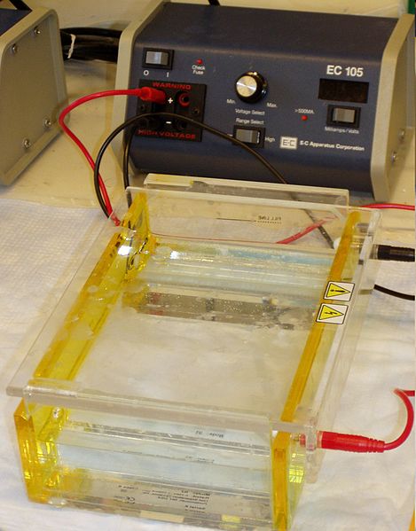 Archivo:Gel electrophoresis apparatus.JPG