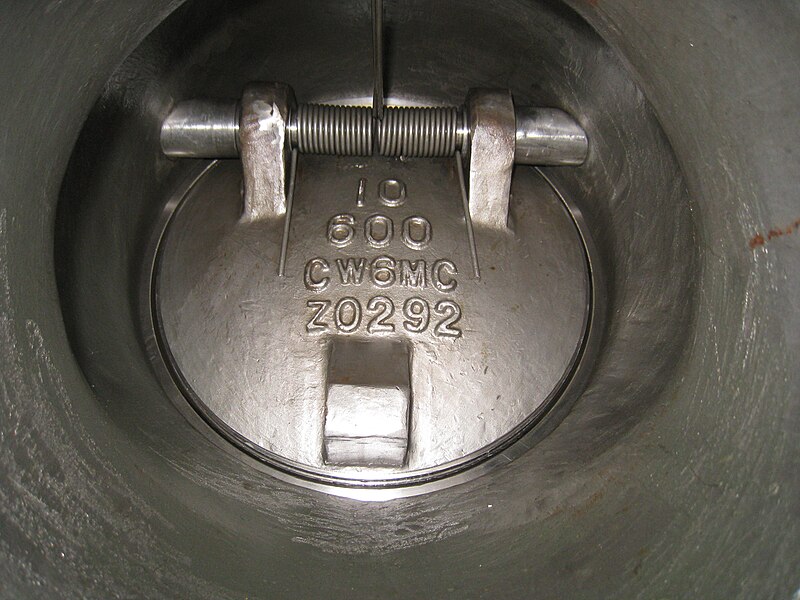 File:Inside-tilting-disc-check-valve-The-Alloy-Valve-Stockist.jpg