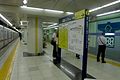 Tokyo Metro platforms, 2015