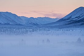 Bosque taiga de Oimiakón (Siberia)