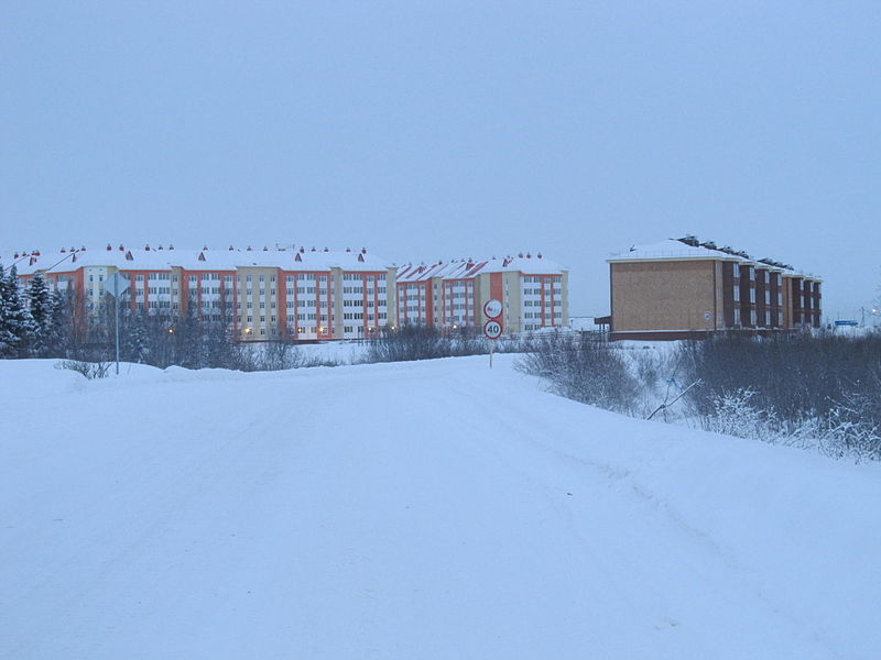 Файл:Polar night in Naryan-Mar.jpg