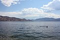 A sunny summer day people swimming in the waters of Okanagan Lake at Peachland, BC, Canada inch 11 x 17 inches at 305 DPI (17 megapixels) #198